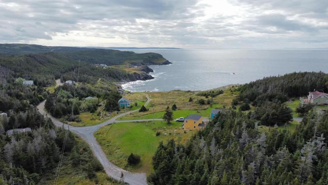 Photo of Others in Grates Cove