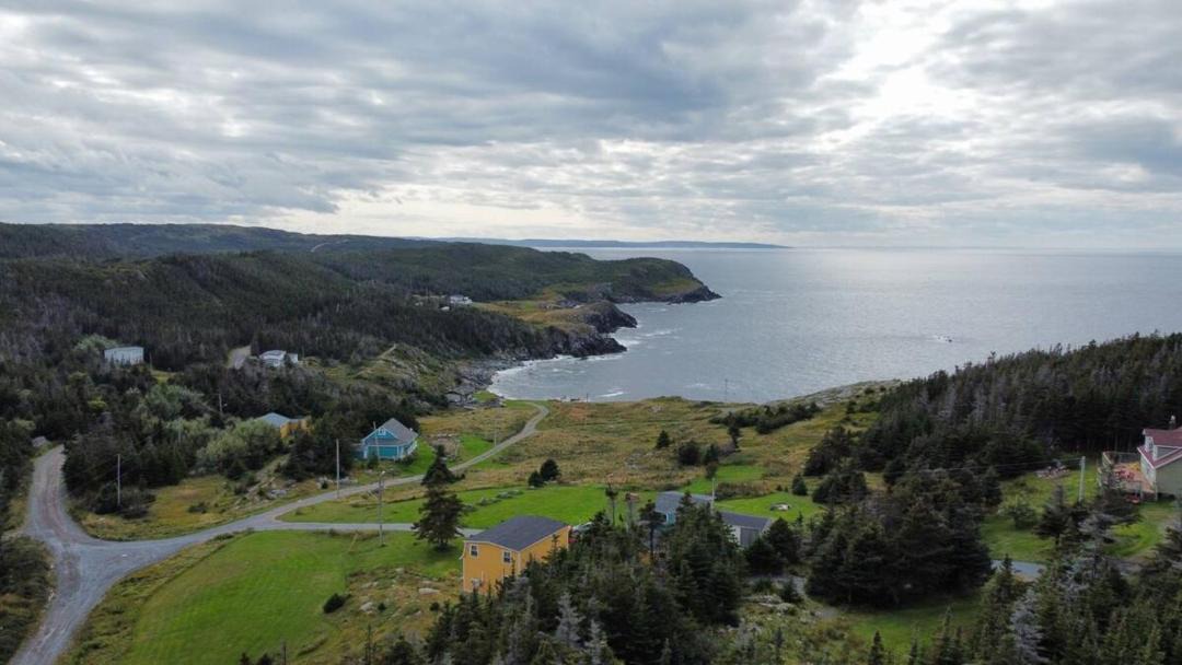 Photo of Others in Grates Cove