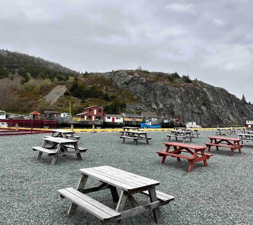 Photo of Others in Quidi Vidi