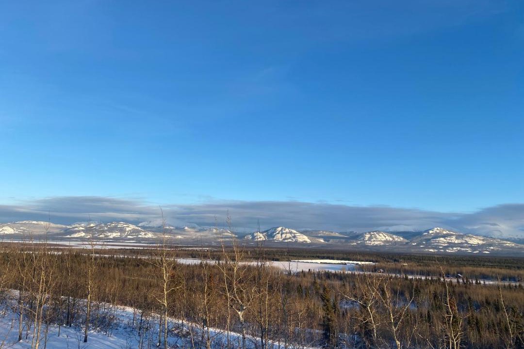 Photo of Others in Whitehorse