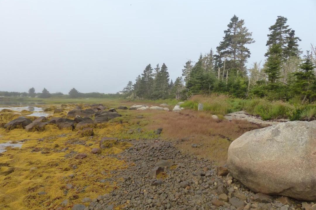 Photo of Others in Shag Harbour