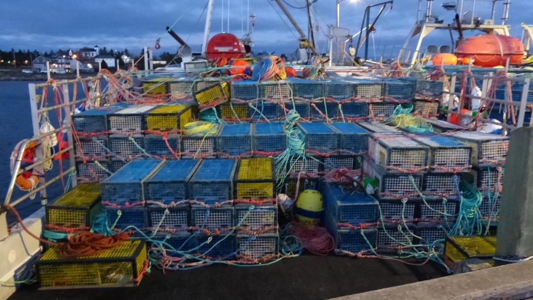 Photo of Others in Shag Harbour