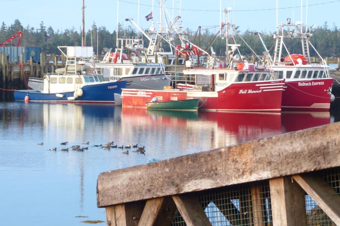 Photo of Others in Shag Harbour