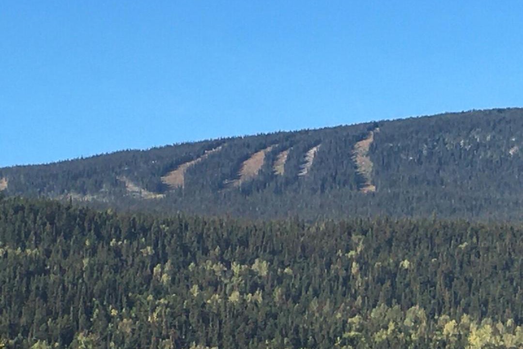Photo of Others in Smithers