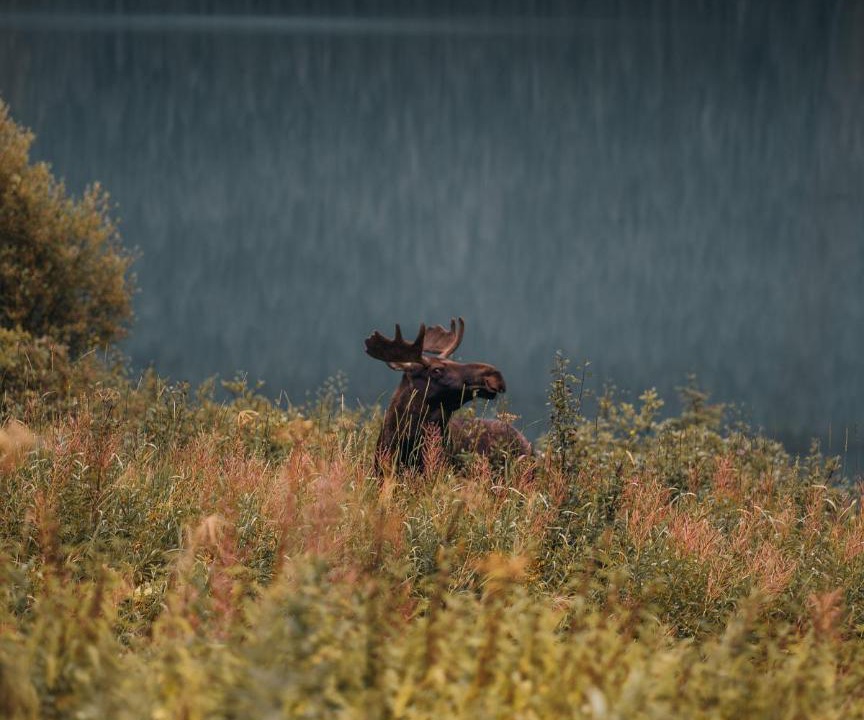 Photo of Others in Field
