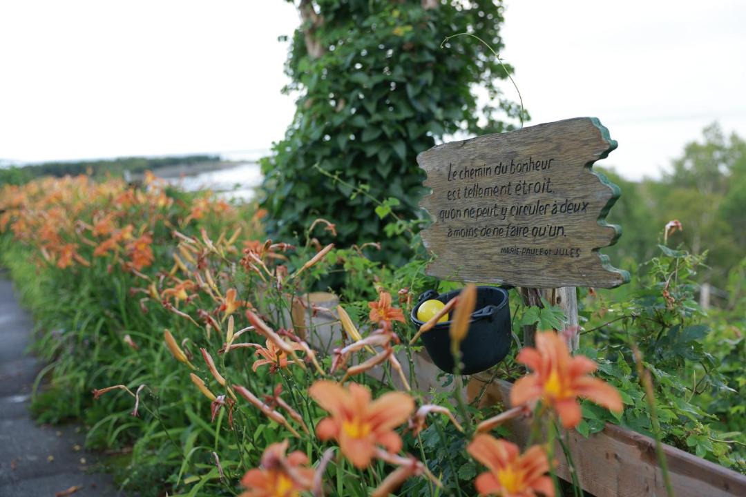 Photo of Others in Isle aux Coudres