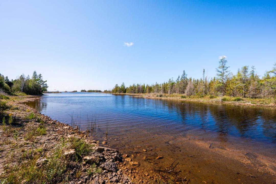 Photo of Others in Northern Bruce Peninsula