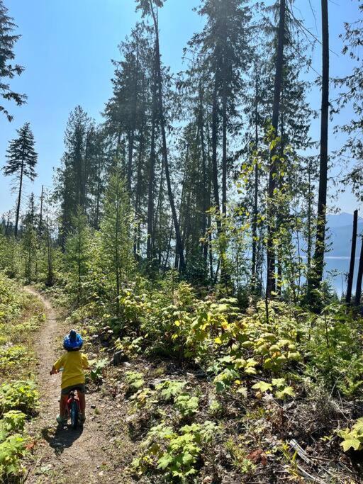 Photo of Others in Nakusp