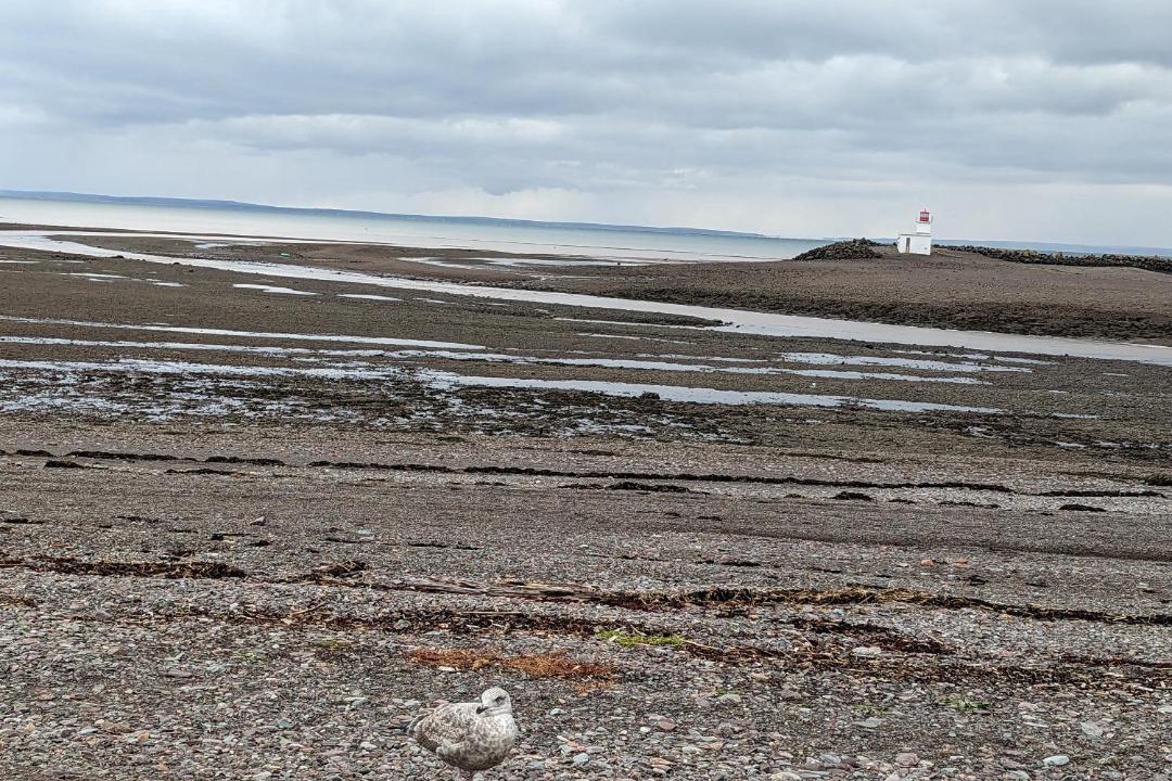Photo of Others in Parrsboro