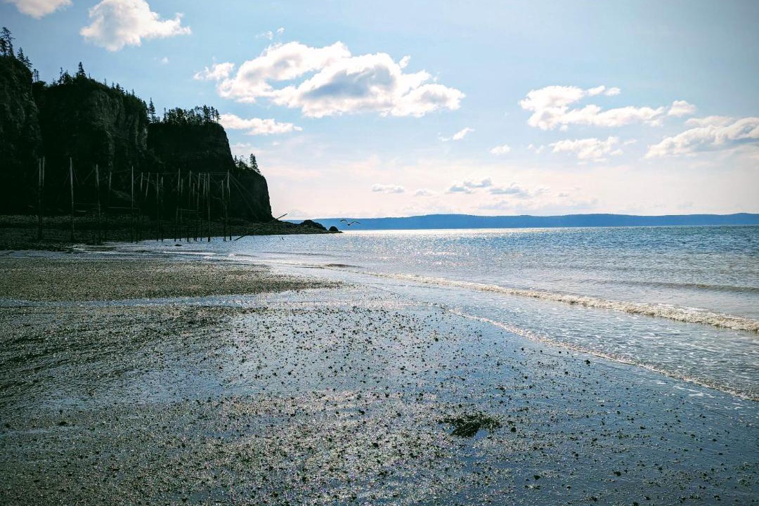 Photo of Others in Parrsboro