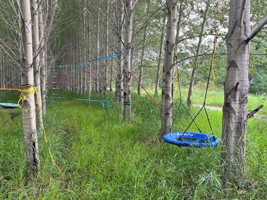 Photo of Others in Lac Saint-Jean - Saguenay