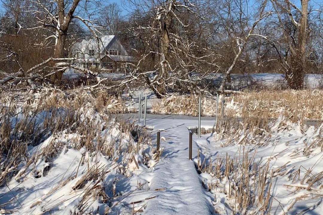 Photo of Others in Milford