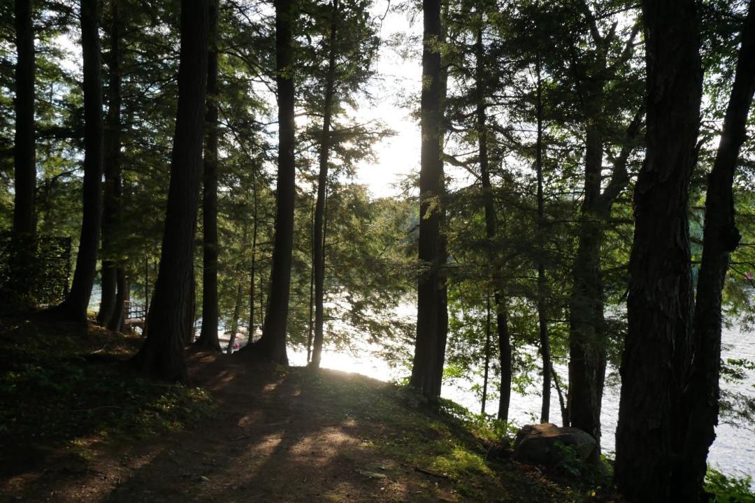 Photo of Others in Lake of Bays