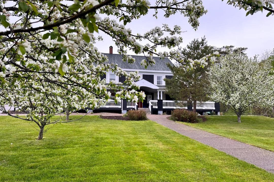 Photo of Others in Baddeck