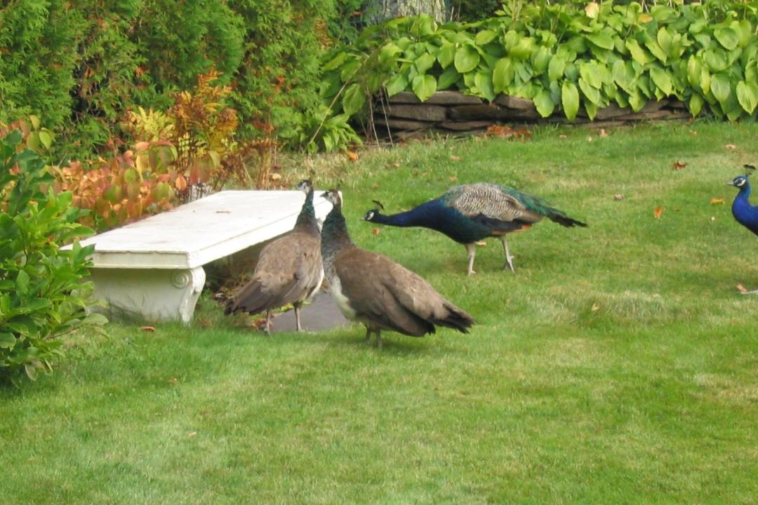 Photo of Others in St. Andrews