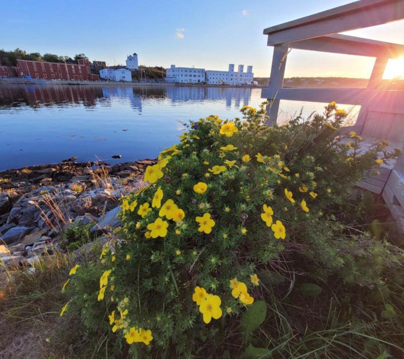 Photo of Others in Port Union