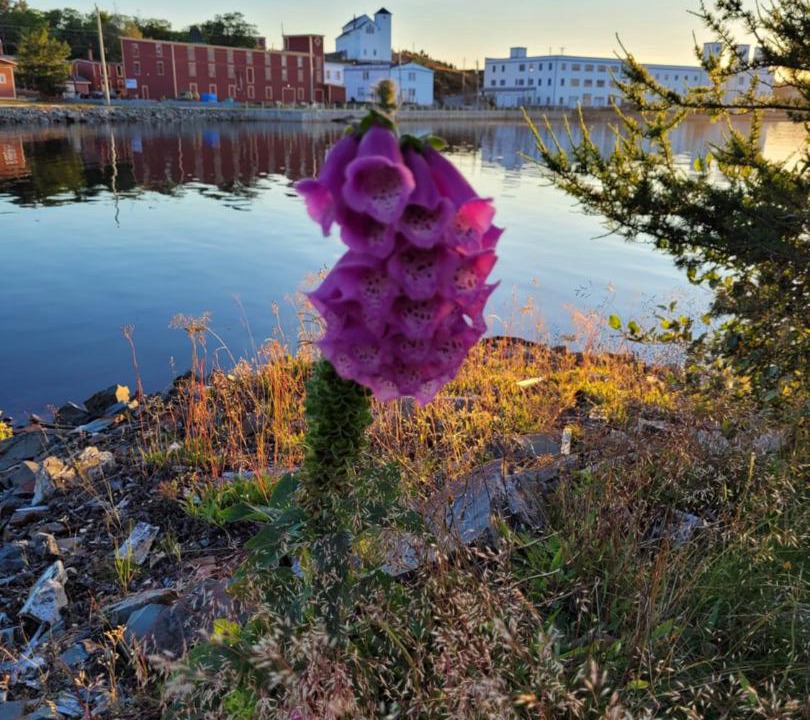 Photo of Others in Port Union