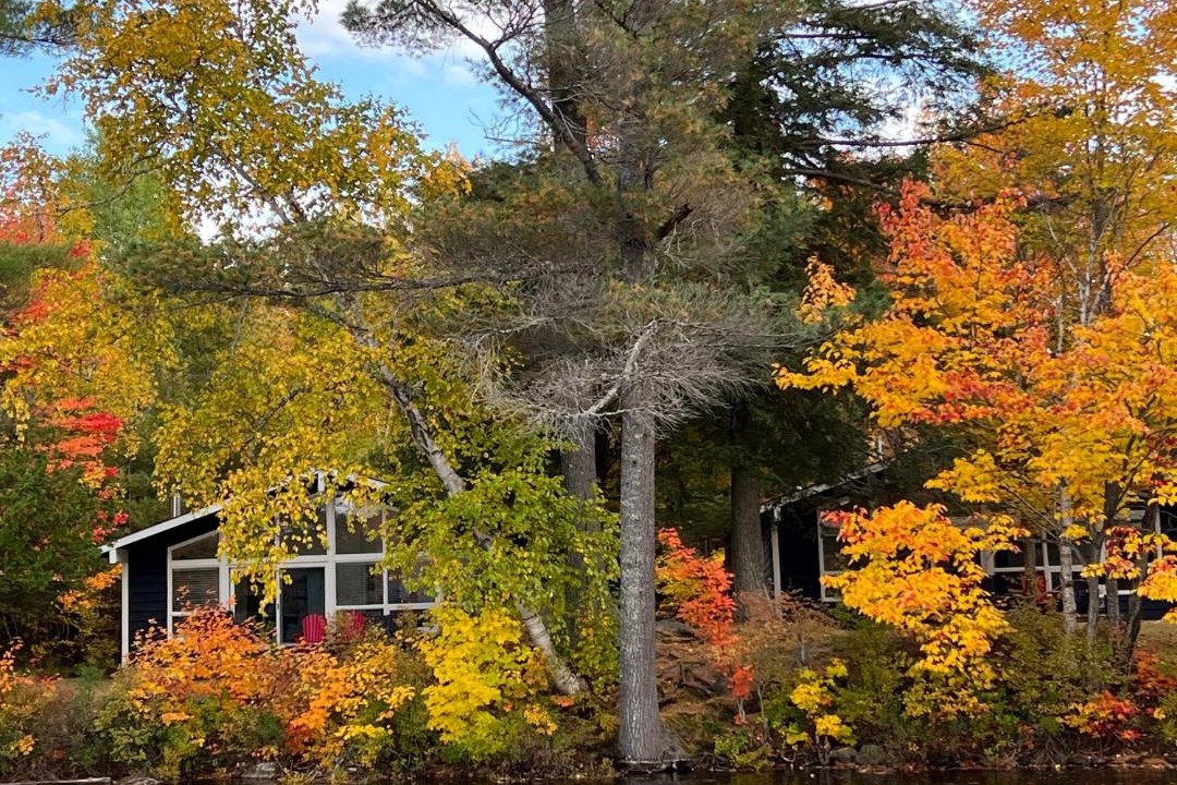 Photo of Others in Lake of Bays