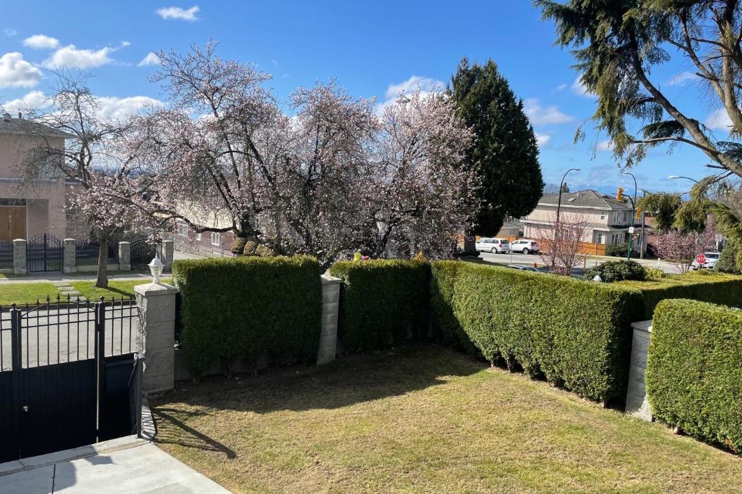 Photo of Others in Fraserview
