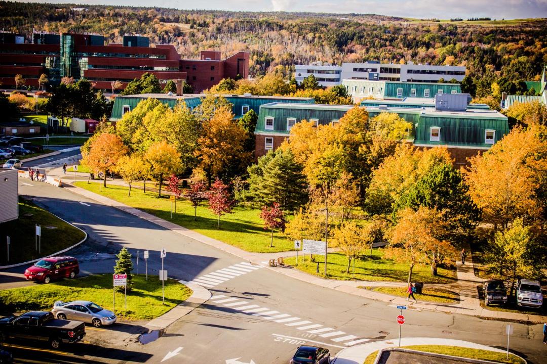 Photo of Others in St. John's