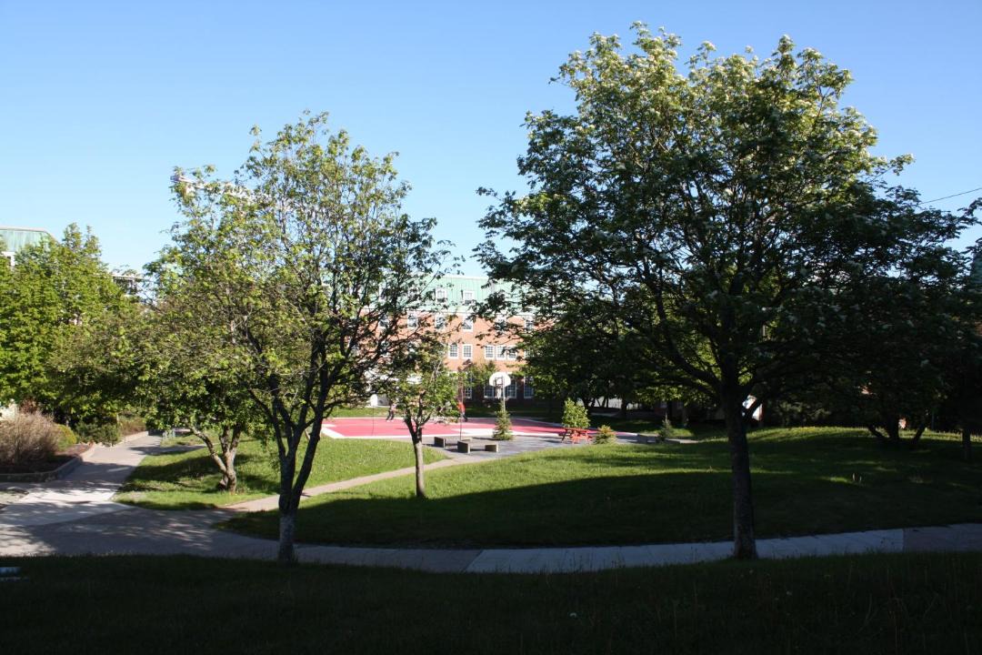 Photo of Others in St. John's