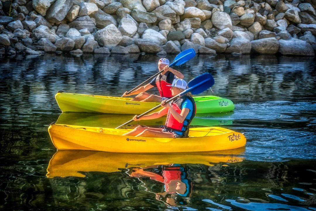 Photo of Others in Nelson