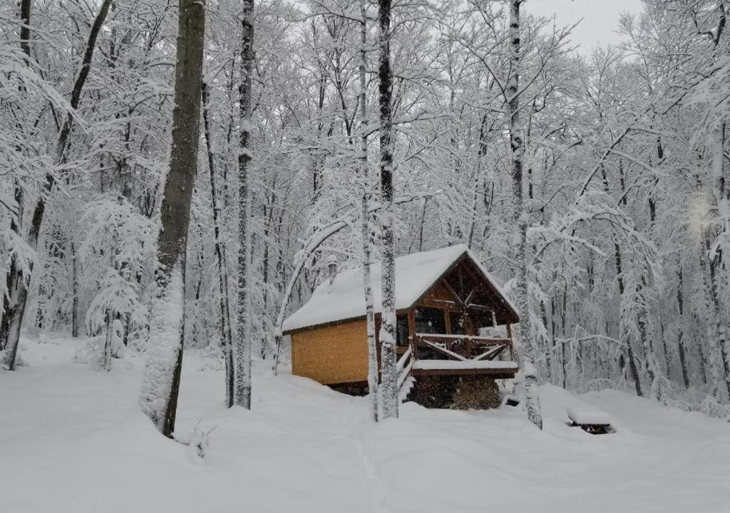 Photo of Others in Saint-Jean-des-Piles