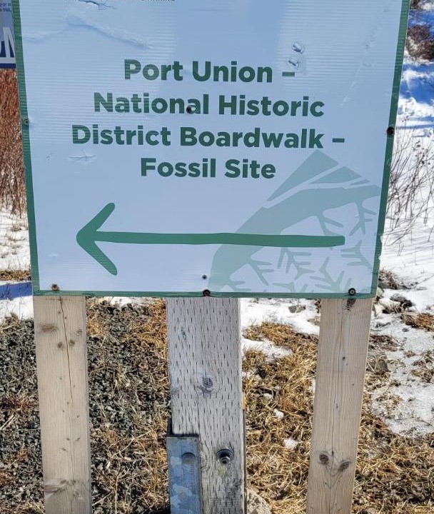 Photo of Others in Port Union