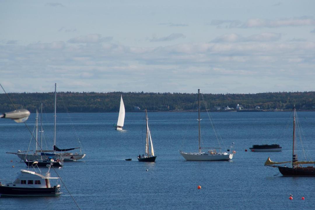 Photo of Others in Lunenburg