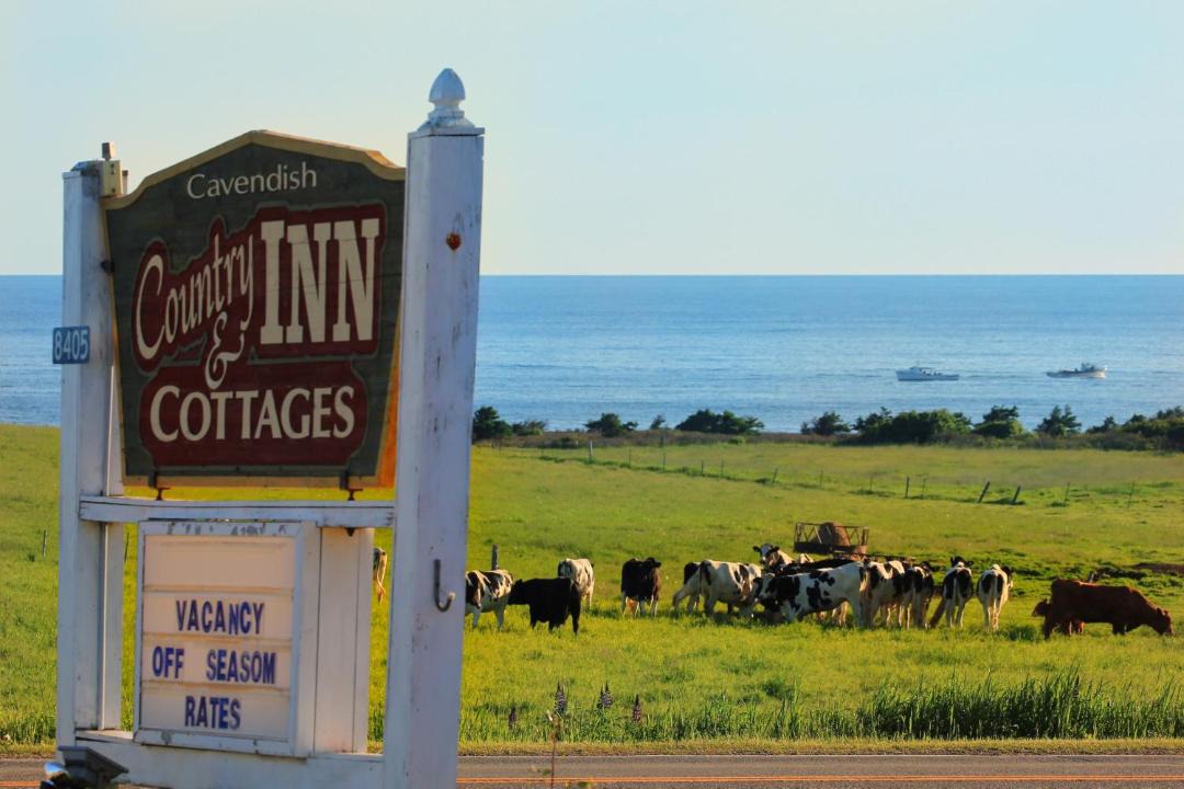 Photo of Others in Green Gables