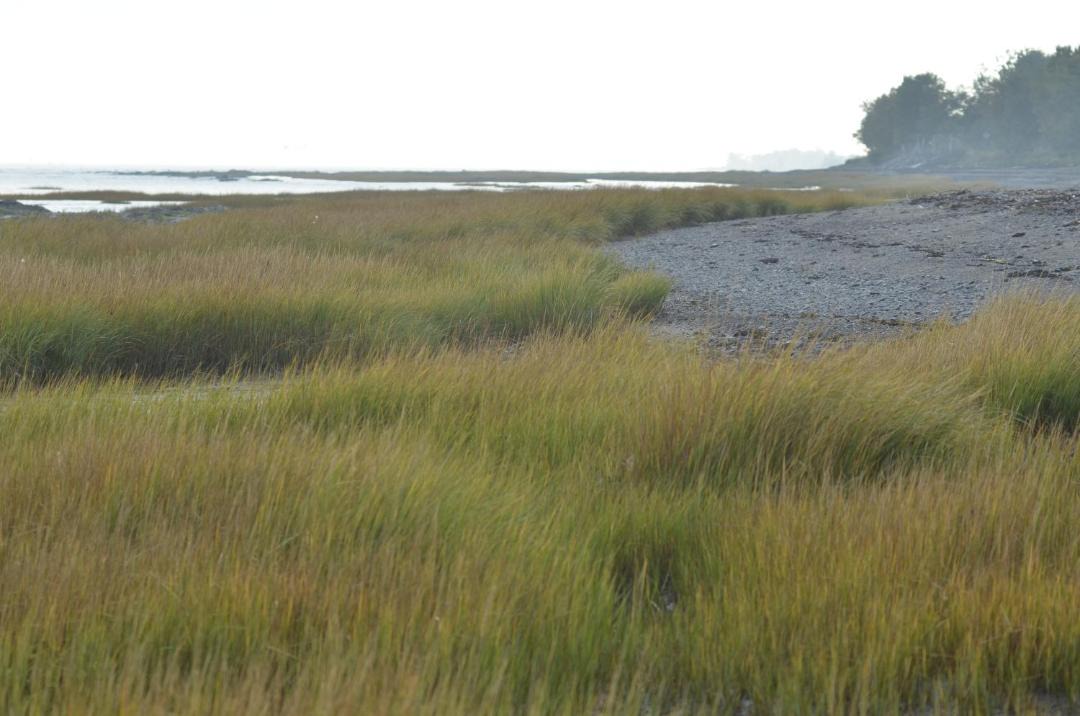 Photo of Others in Isle aux Coudres