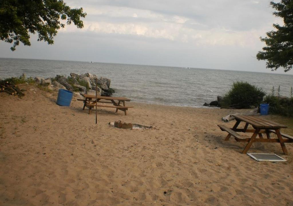 Photo of Others in Kingsville