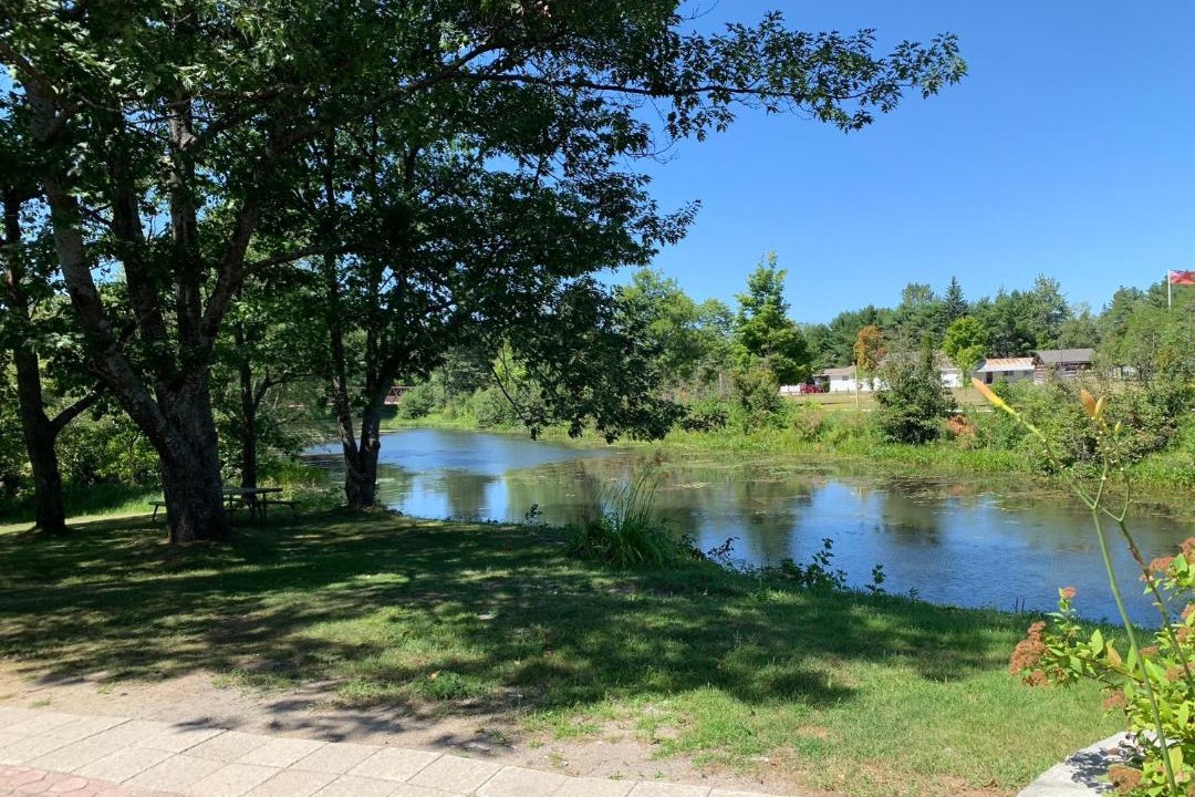 Photo of Others in Bancroft