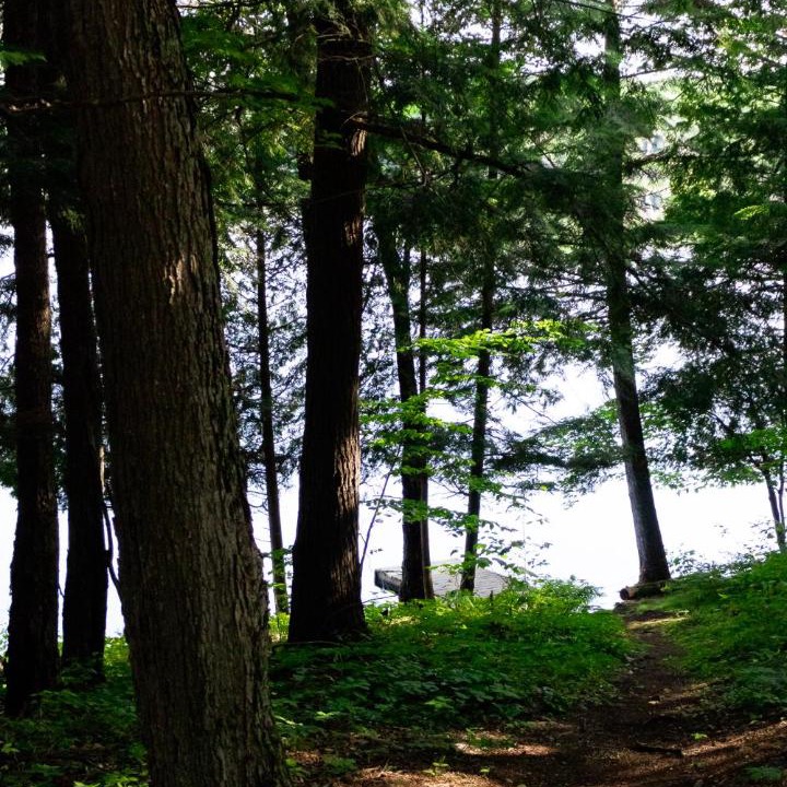 Photo of Others in Lake of Bays