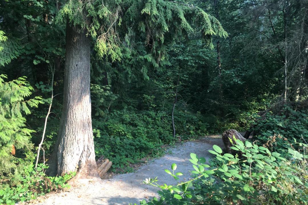 Photo of Others in Maple Ridge