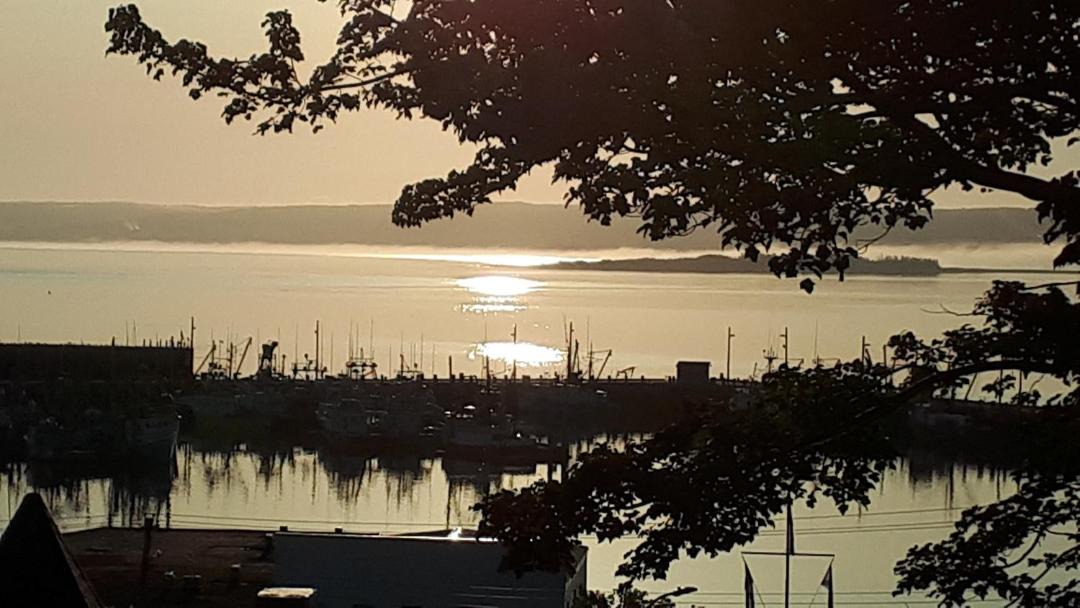 Photo of Others in Digby