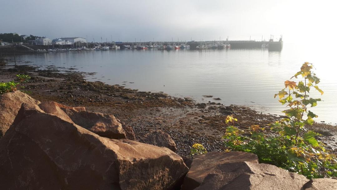 Photo of Others in Digby