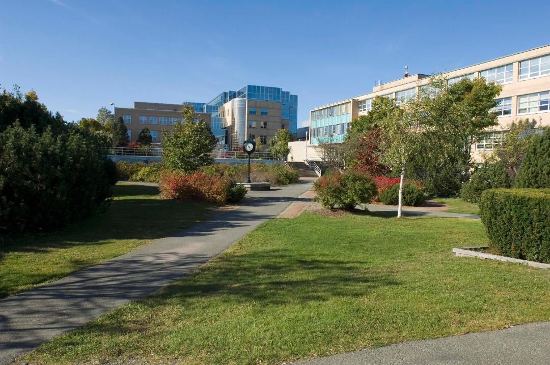 Photo of Others in St. John's
