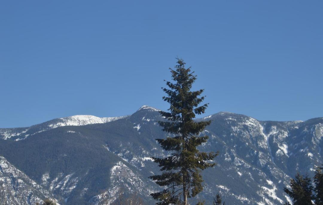 Photo of Others in Creston