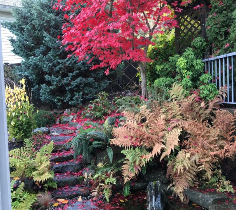 Photo of Others in Regional District of Nanaimo