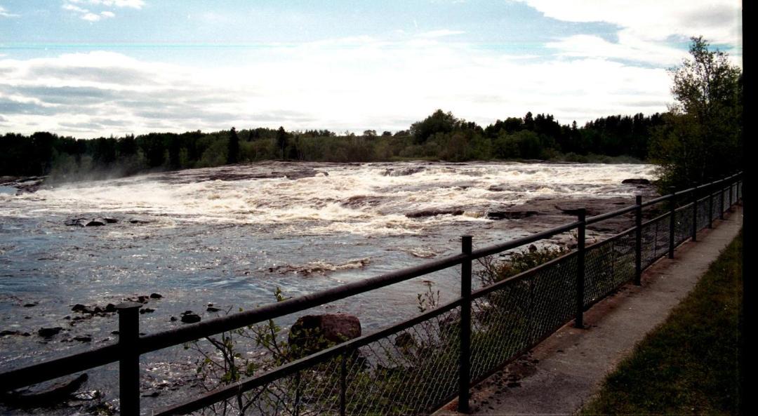 Photo of Others in Dolbeau-Mistassini