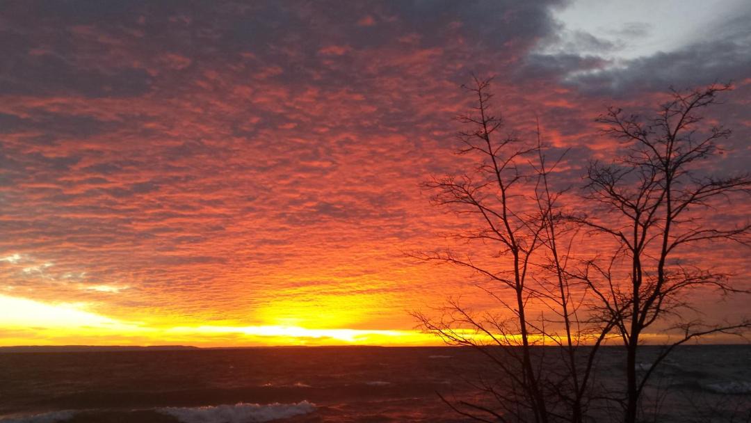 Photo of Others in Balm Beach