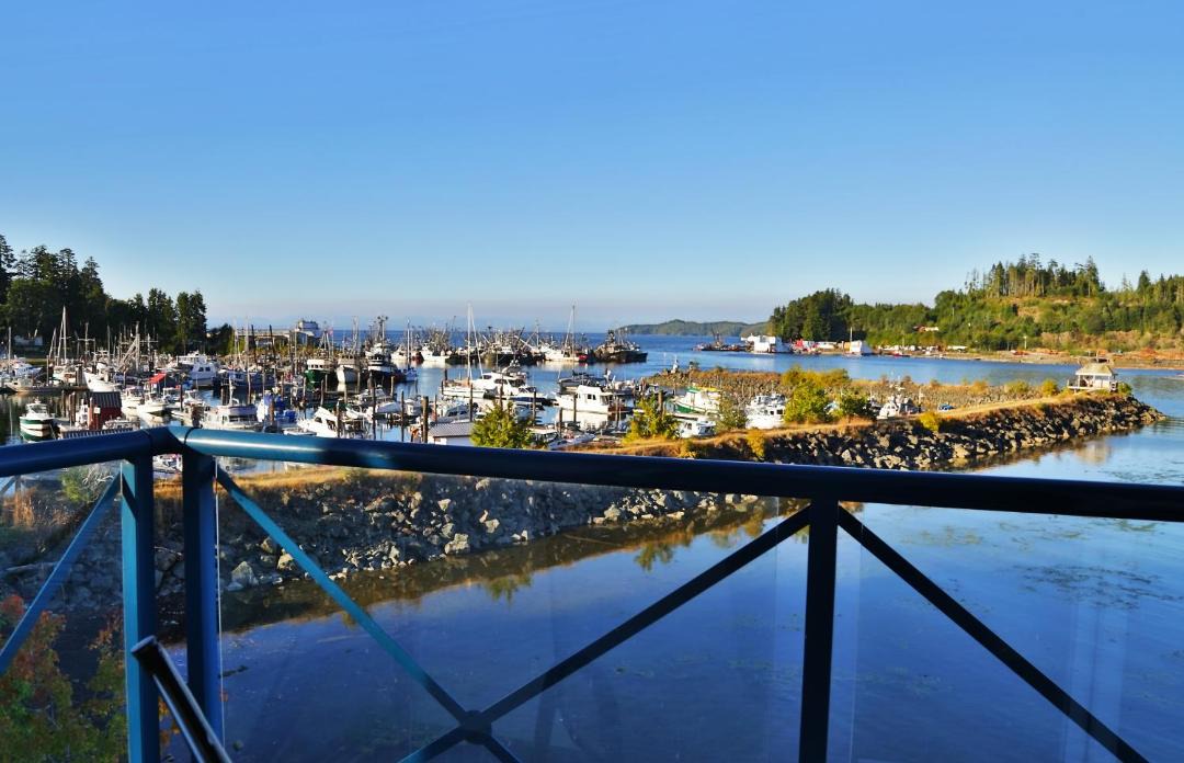 Photo of Others in Port Hardy