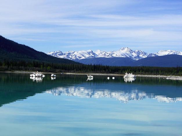 Photo of Others in Tatla Lake