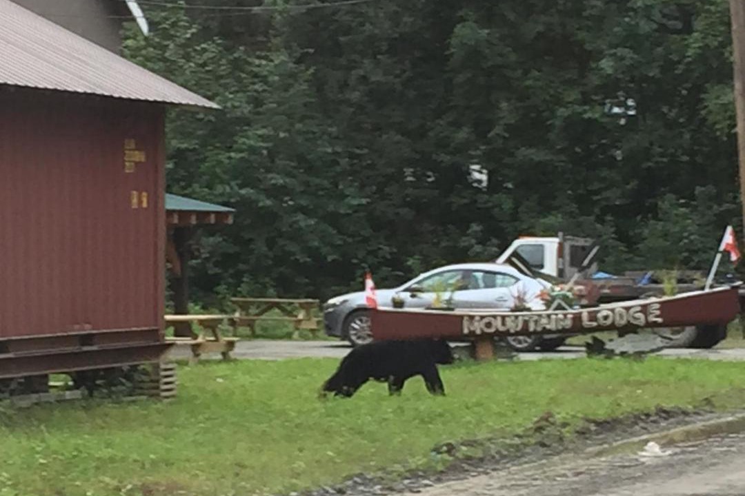 Photo of Others in Stewart