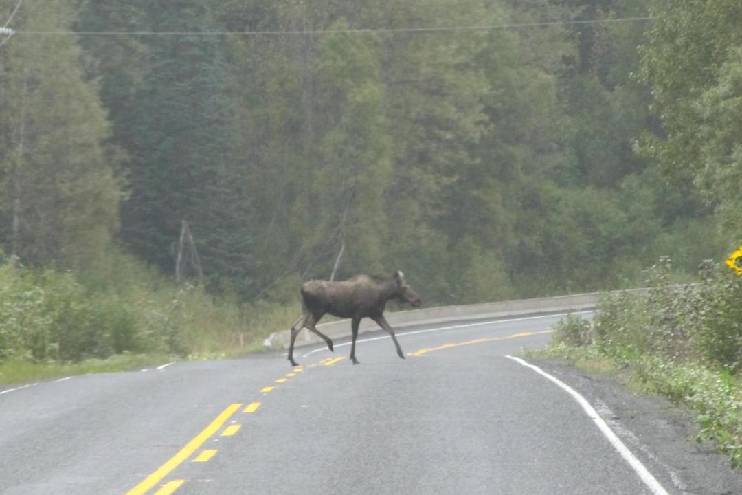 Photo of Others in Stewart