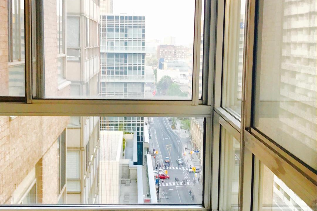 Photo of Others in Bay Street Corridor