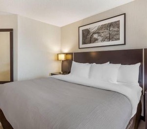 Quality Hotel Burlington 