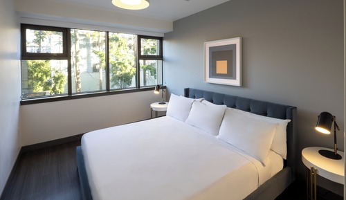 Suite, 1 King Bed with Sofa bed, Kitchen