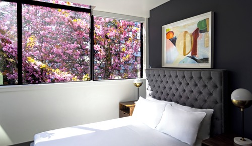 Suite, 1 Queen Bed